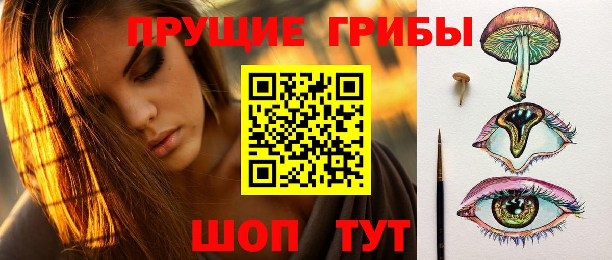 Псилоцибиновые грибы Psilocybine cubensis  Вход с VPN  Ангарск 
